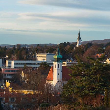 Herrlicher Ausblick Ueber Wien Екстериор снимка