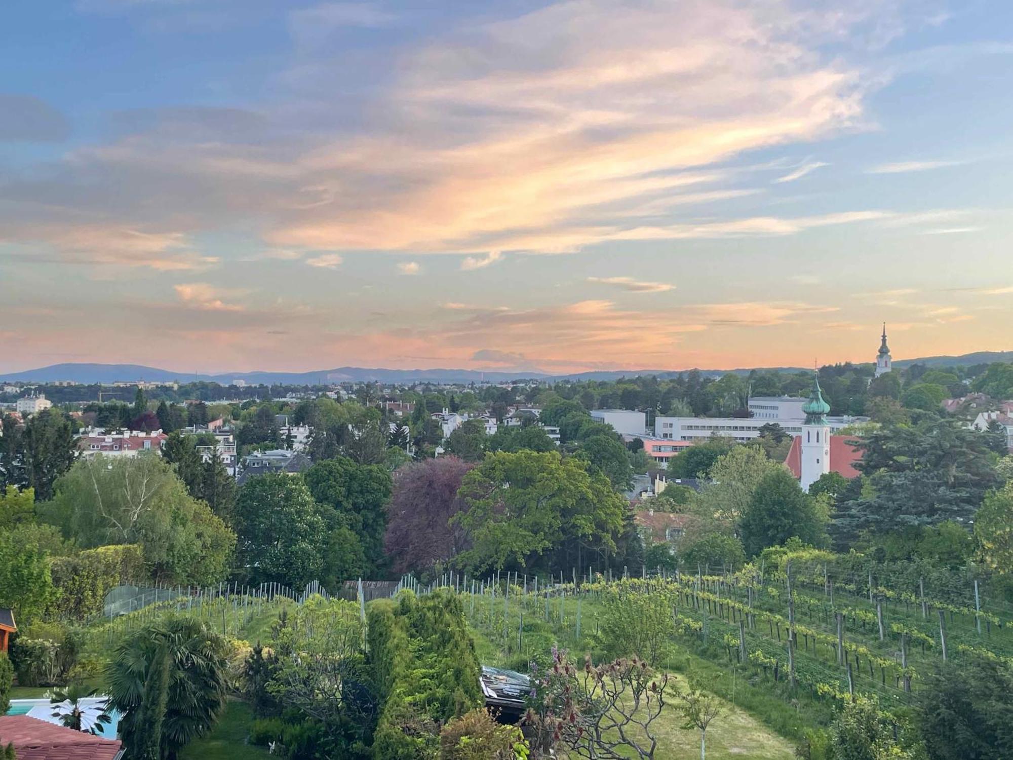 Herrlicher Ausblick Ueber Wien Екстериор снимка