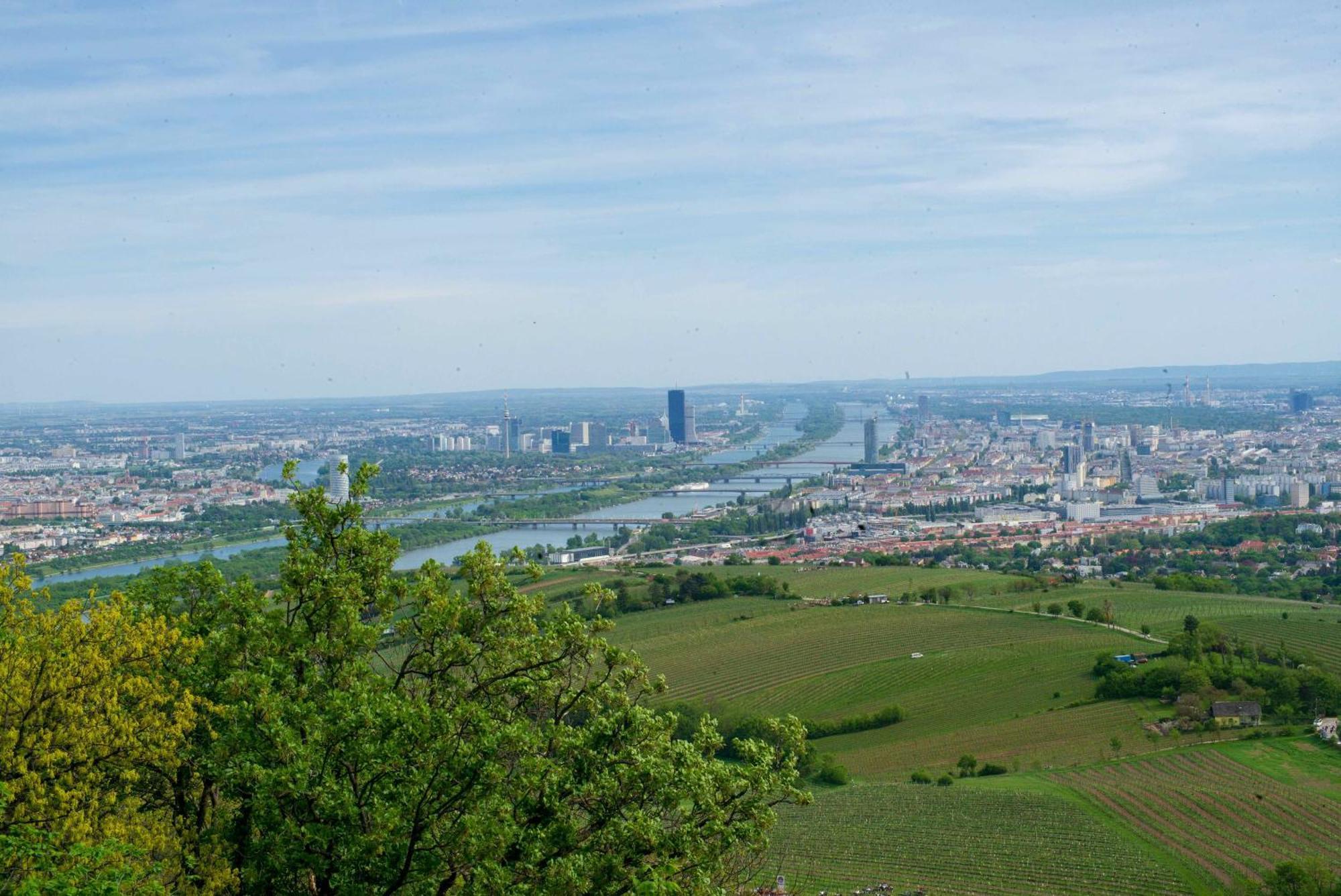 Herrlicher Ausblick Ueber Wien Екстериор снимка