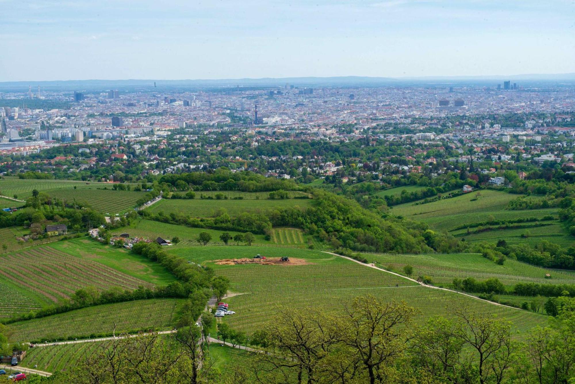 Herrlicher Ausblick Ueber Wien Екстериор снимка